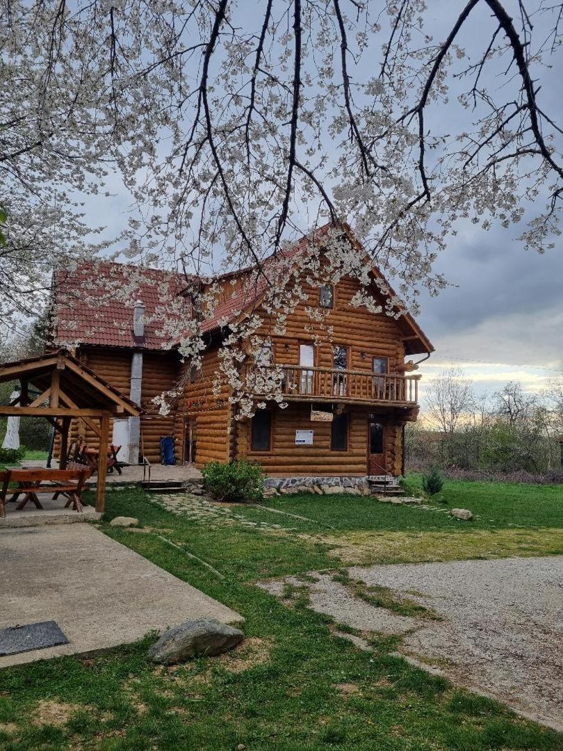 Villa Valea Vistisoarei à Vistisoara Extérieur photo